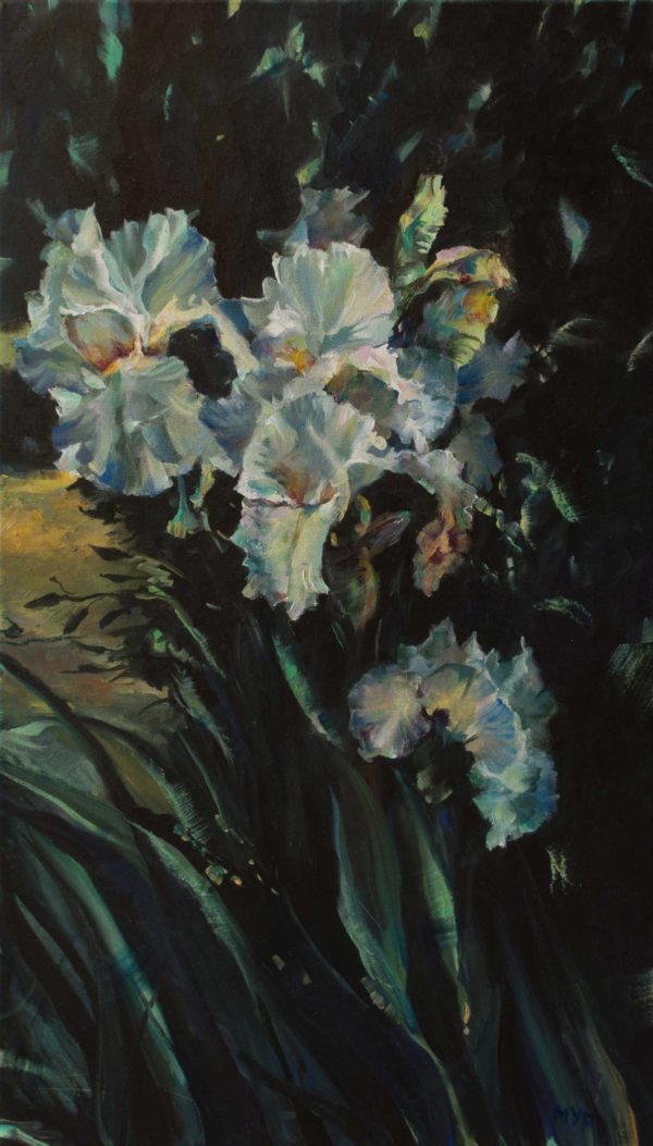 Iris flowers in the evening garden, oil painting original.