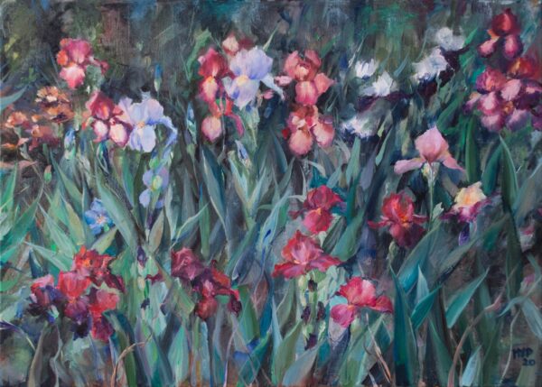 Iris field acrylic painting on canvas, original.